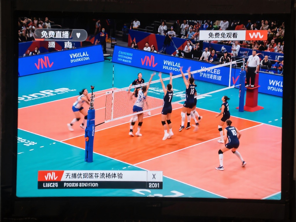 排球直播_排球直播免费观看_排球直播免费观看无插件 排球作为一项充满激情与竞技魅力的体育运动