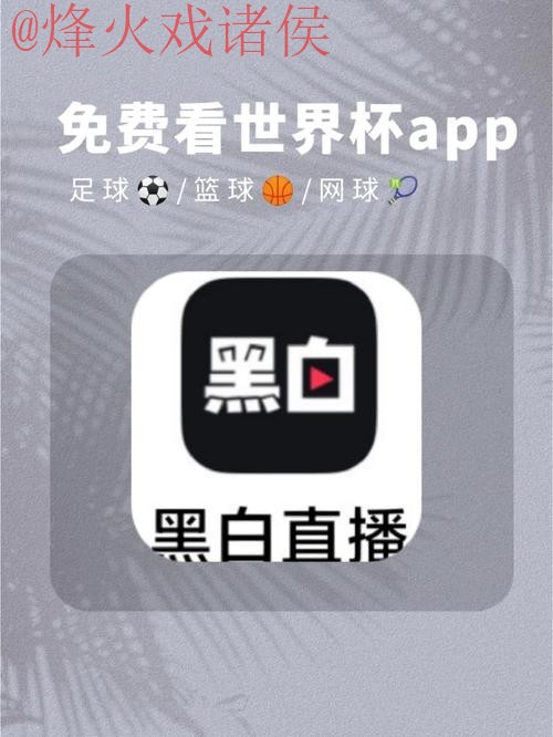 世界杯热门下注APP免费下载